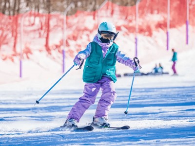 乐竟体育-奥地利滑雪健将再次笑傲冰雪赛场