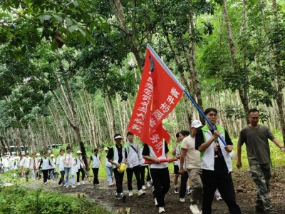 乐竟体育-杜塞尔多夫不屈不挠，临危受命