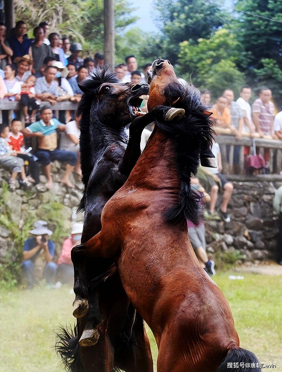 令人热血沸腾的比赛，场面火爆惊心动魄